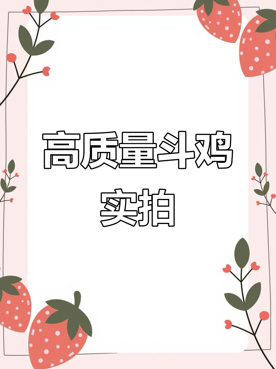 越南斗鸡精彩瞬间：完美脚鳞，火焰般的激烈对决