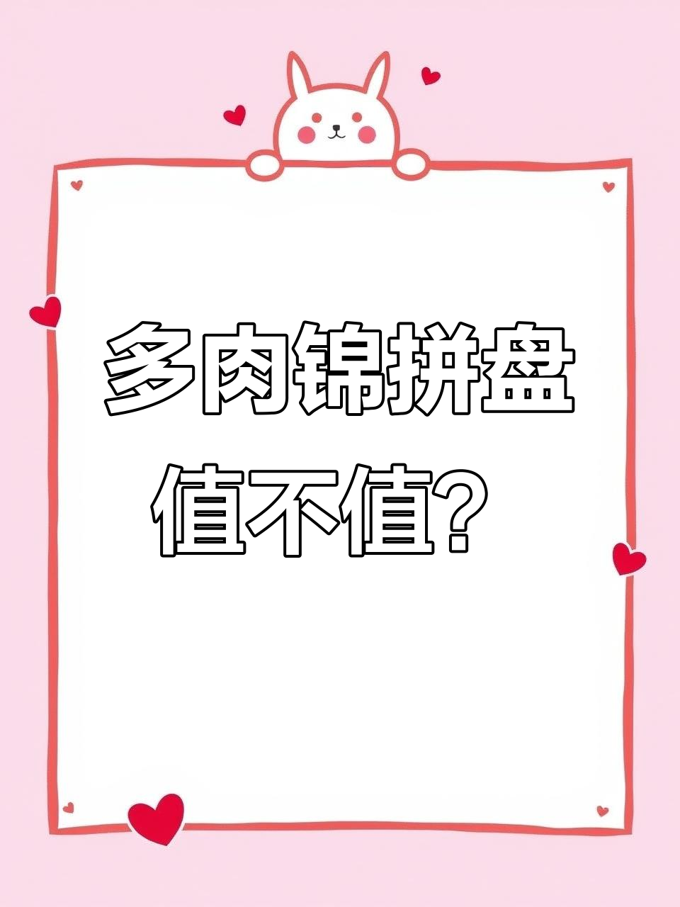 大学生放假在家，竟然花了2万买这个多肉拼盘！