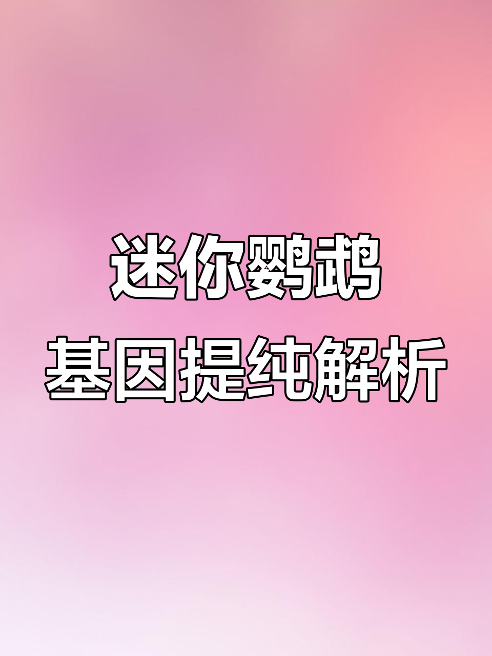 迷你鹦鹉鱼基因提纯揭秘：如何挑选桃心缩尾品种