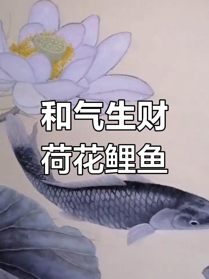 荷花鲤鱼图,墨绿荷叶间的和气生财