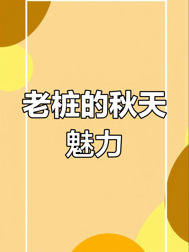秋天的丘比特,多年老桩依然美丽