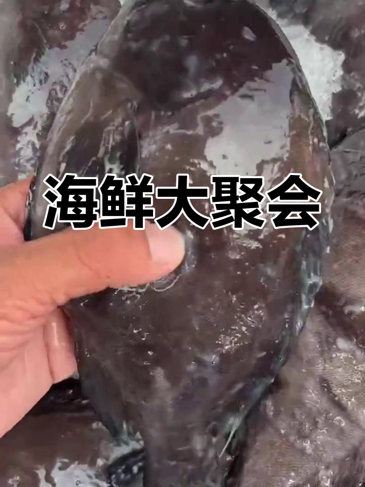 今晚海鲜盛宴,各种斑鱼、瓜子等你来尝!