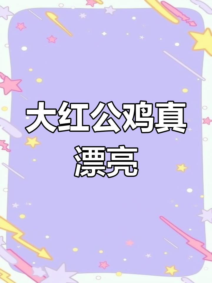 美丽公鸡,冠子红亮