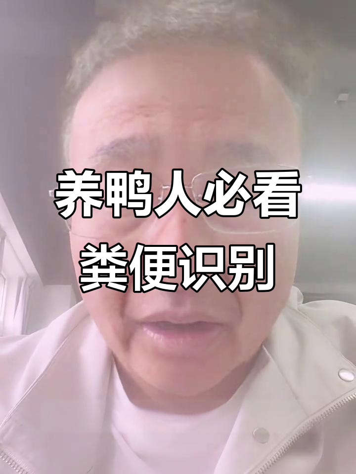 鸭子粪便颜色变化揭示健康信号,学会这些你也能判断疾病