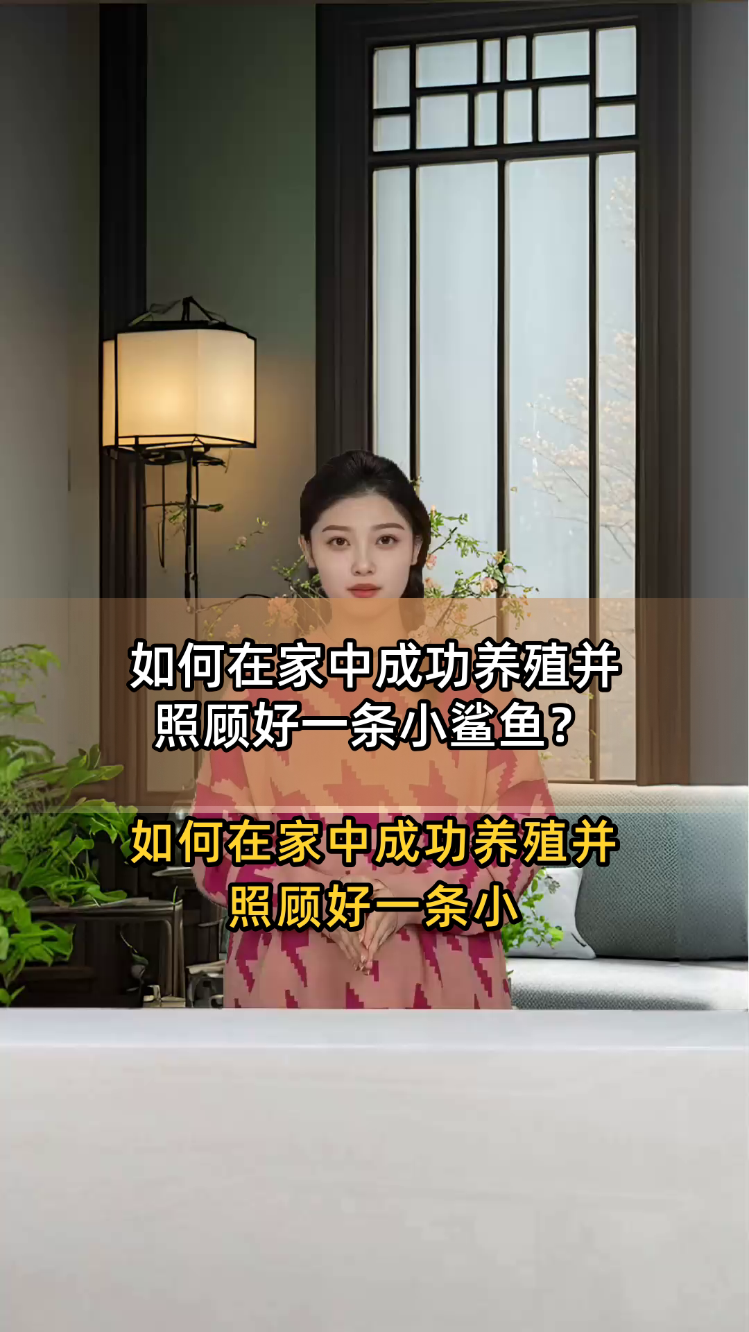 如何在家中成功养殖并照顾好一条小鲨鱼?