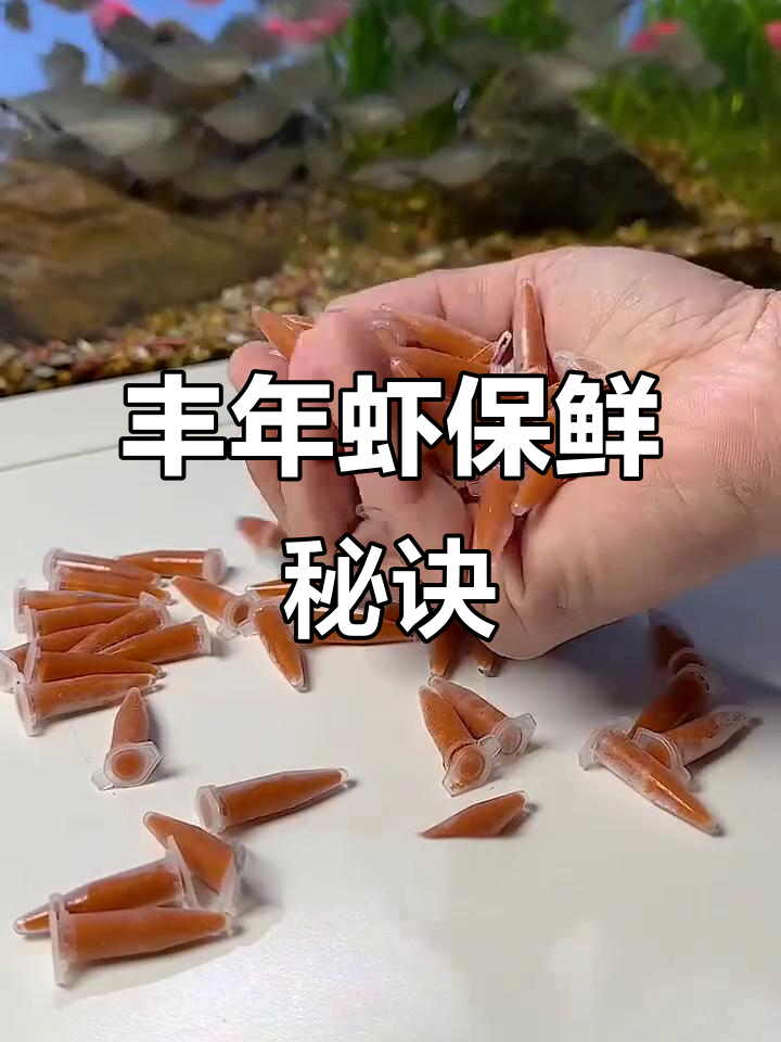 丰年虾冷冻保存，解冻后喂食，小鱼苗最爱！
