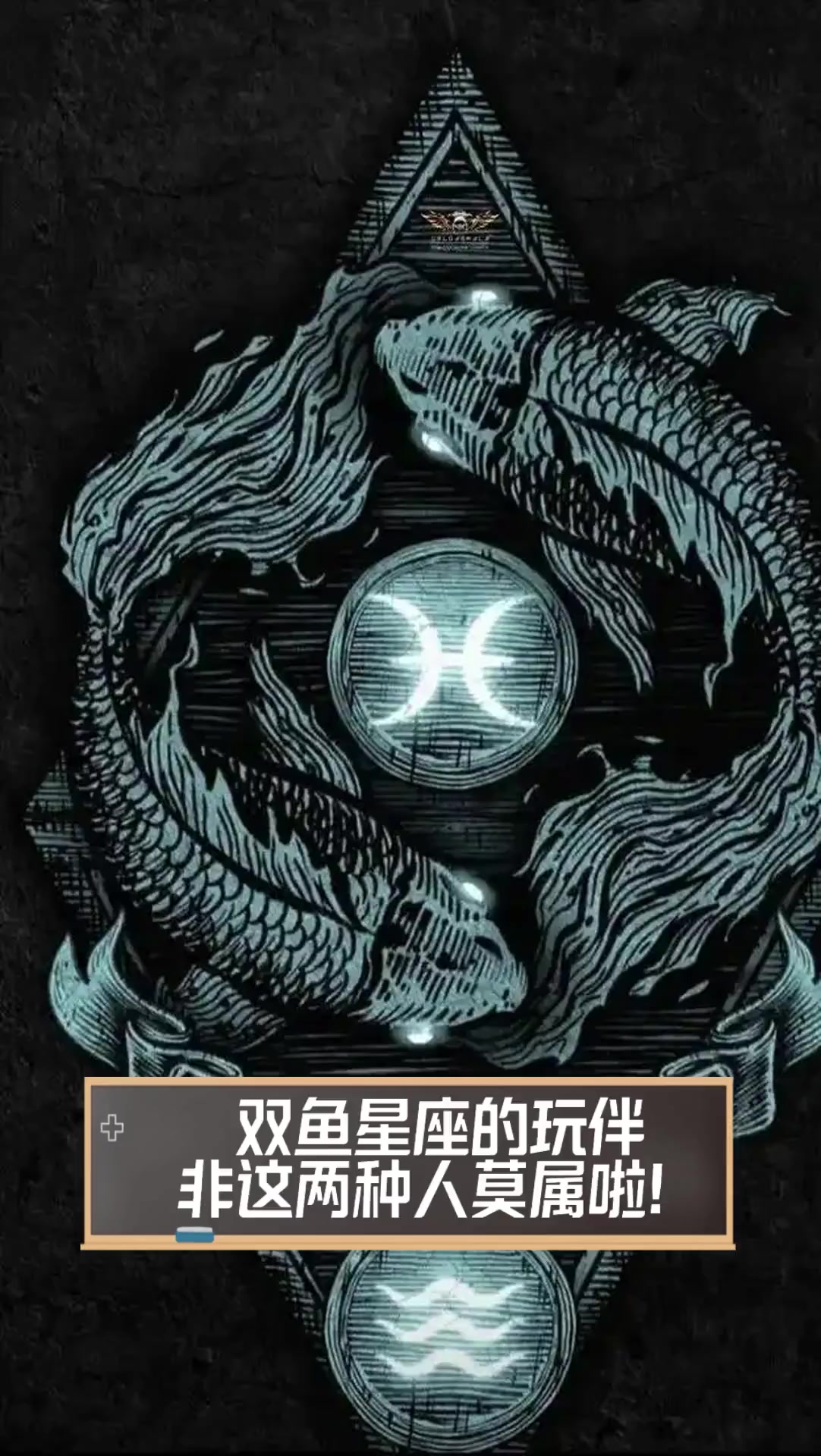 双鱼星座的玩伴,非这两种人莫属啦!
