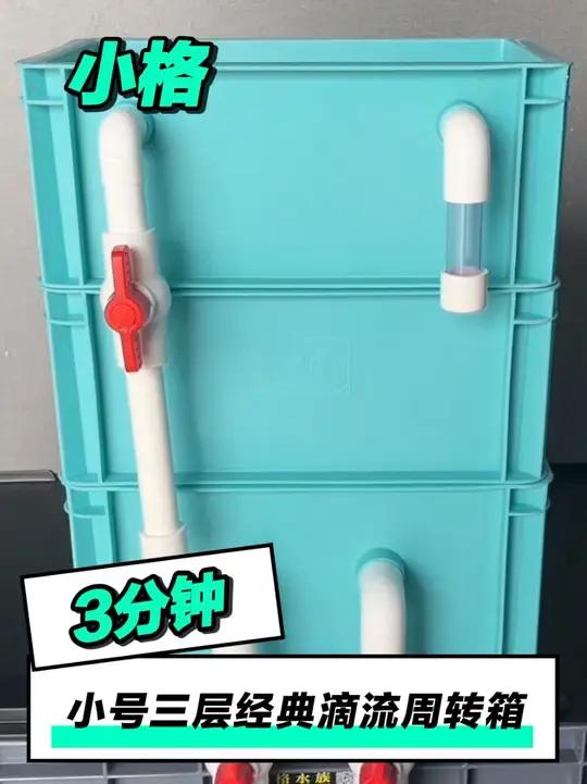 养鱼不知道用什么过滤？来看看小格家的经典滴流周转箱吧！
