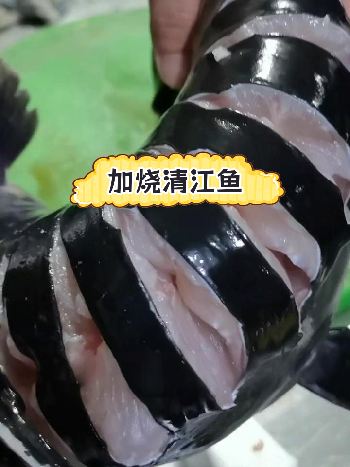 清江鱼加烧做法详解