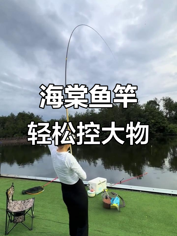 佳钓尼海棠鱼竿:轻巧又强劲,钓鱼必备神器