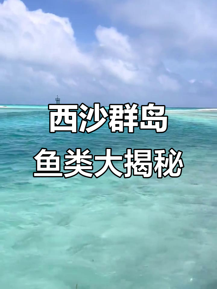 西沙群岛海水观赏鱼全攻略：蝴蝶、神仙与狮子鱼的魅力之旅