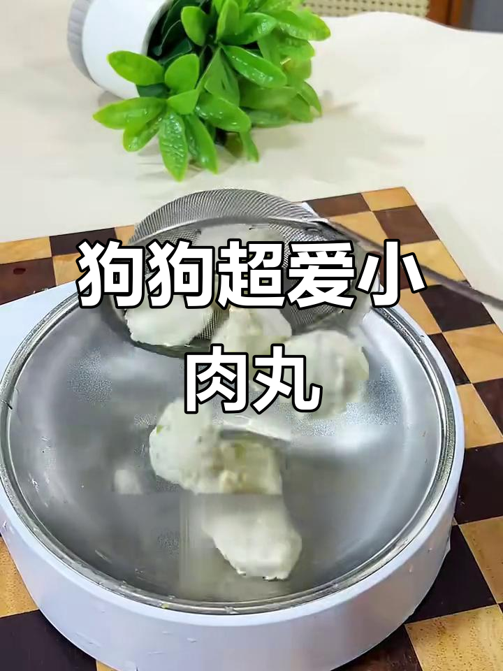 小狗最爱鸡肉丸，蔬菜搭配更健康