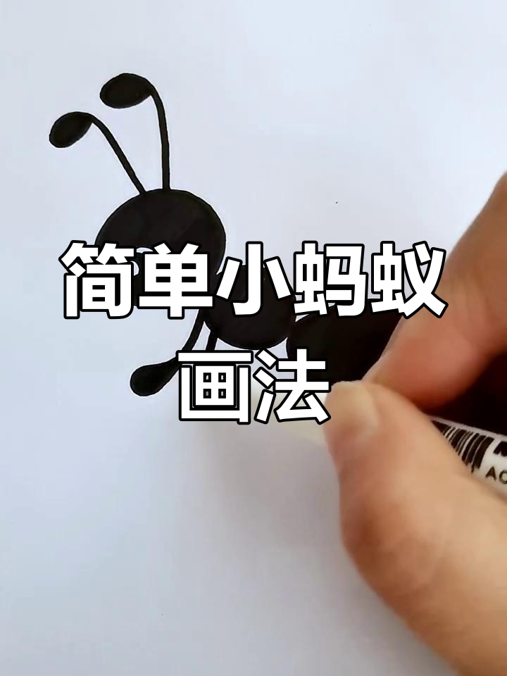 小蚂蚁简笔画,轻松几步搞定