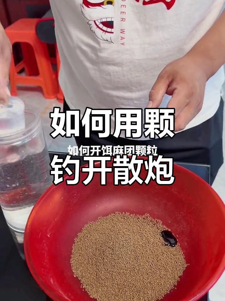 麻团颗粒泡开饵技巧,钓鱼必备诱鱼利器