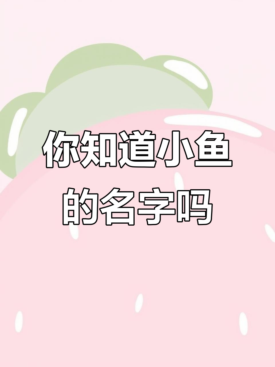 小鱼种类大揭秘,这些你都知道吗?