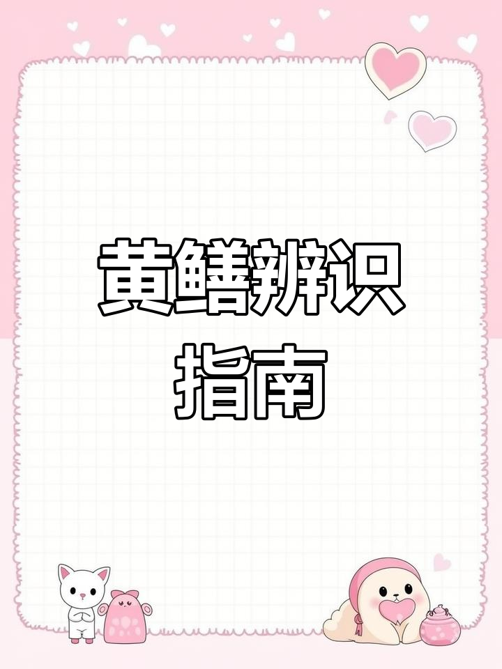 缅甸鳝与土黄鳝辨别技巧,轻松区分两种不同品种