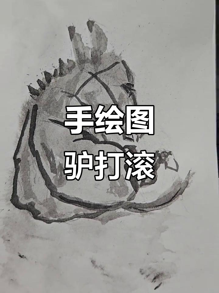 驴打滚手绘，画画让生活更有趣