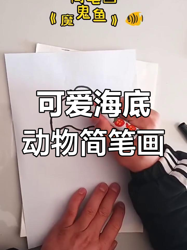 海底探险:魔鬼鱼、海豚与奇形怪石的故事