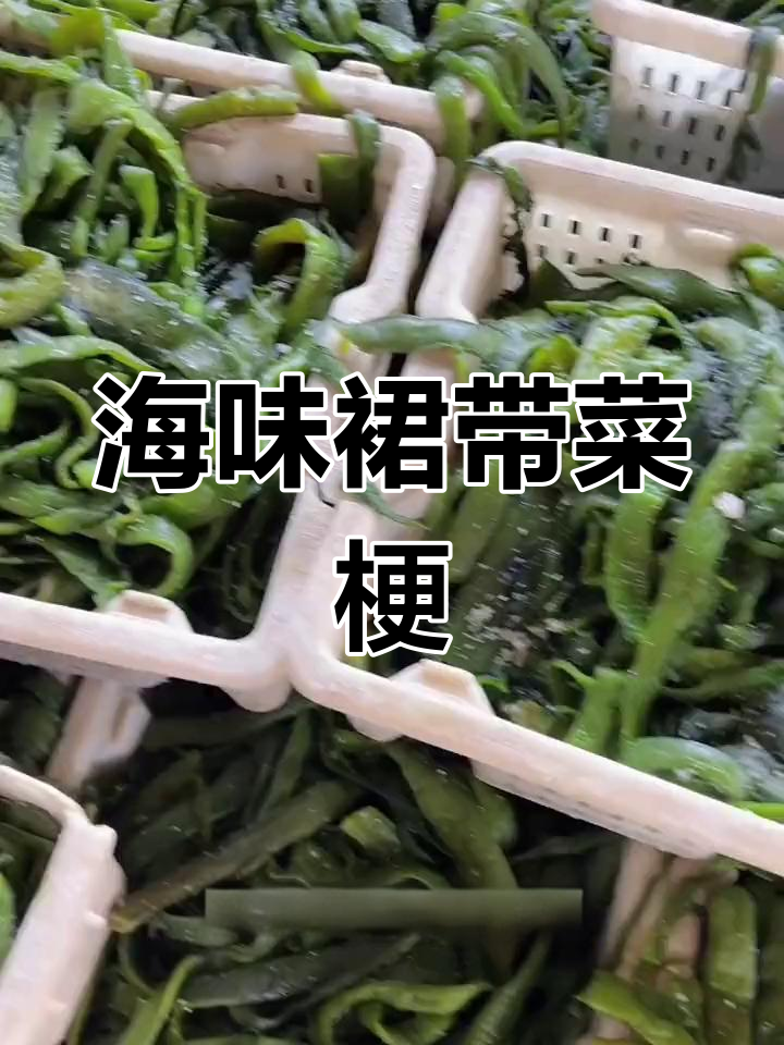 裙带菜梗炒排骨,脆嫩爽口下饭神器