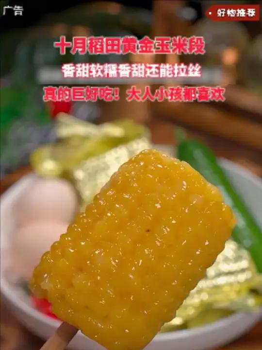 m「24年新玉米」十月稻田黄金玉米段黄糯白糯东北黏苞米冬日火锅食材