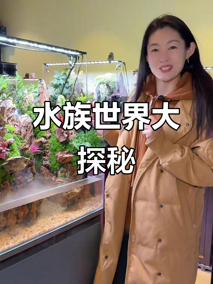 探索鱼缸造景,冷水热带鱼一网打尽!