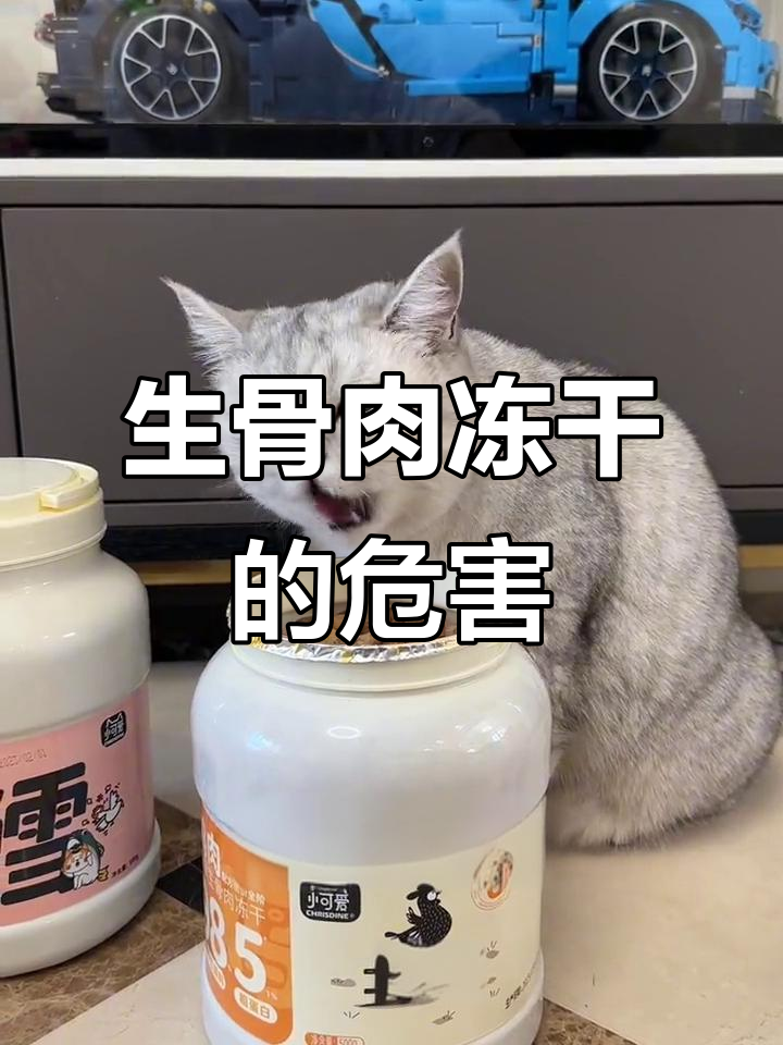 长期喂生骨肉冻干,猫咪的这些变化你注意到了吗?