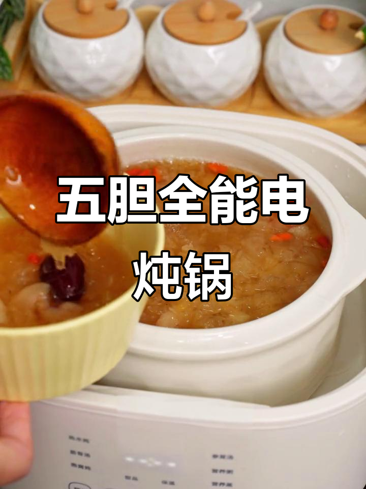 小浣熊电炖锅,五胆全能,汤品、甜品轻松搞定!
