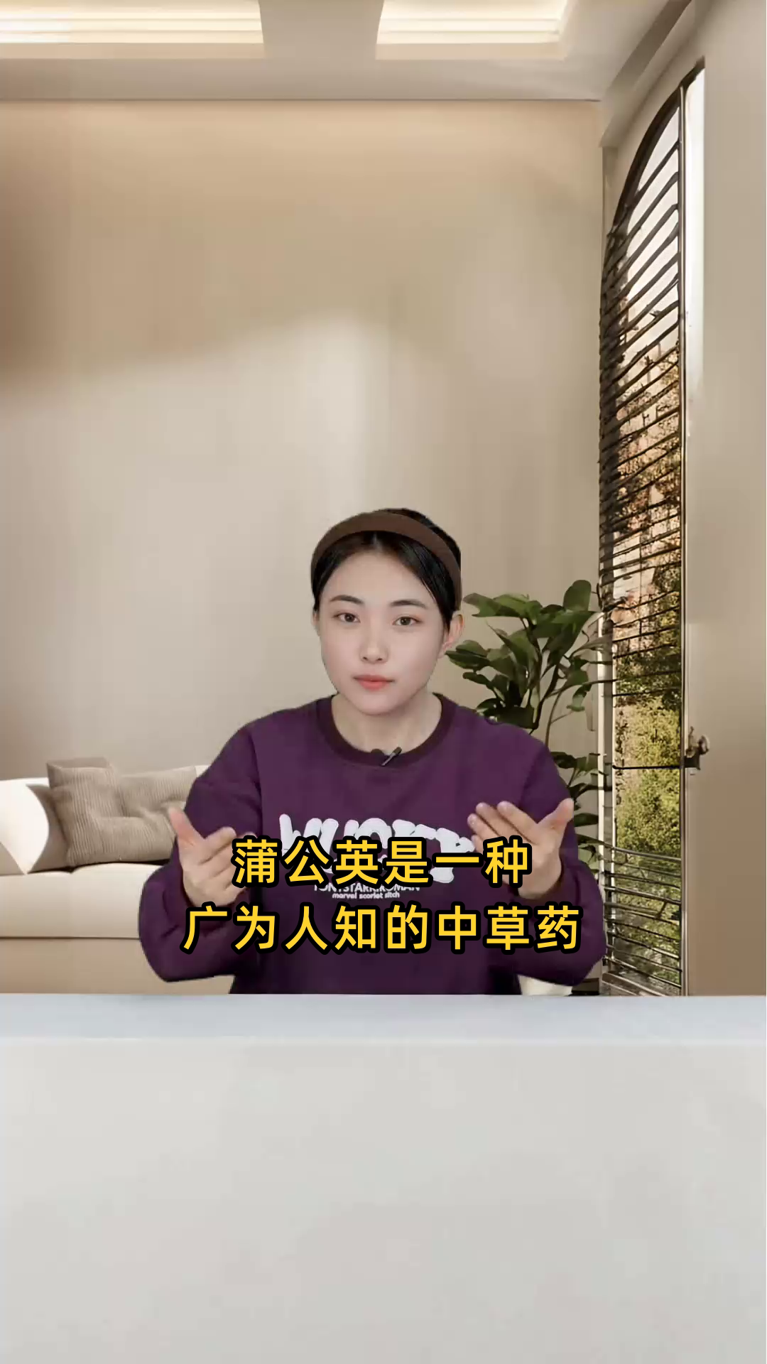 蒲公英的多种功效与作用详解,包括清热解毒、利尿散结等