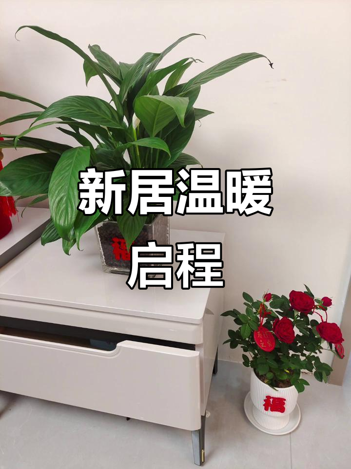 乔迁新居,感谢朋友们的祝福与支持,生活更加温馨美好!