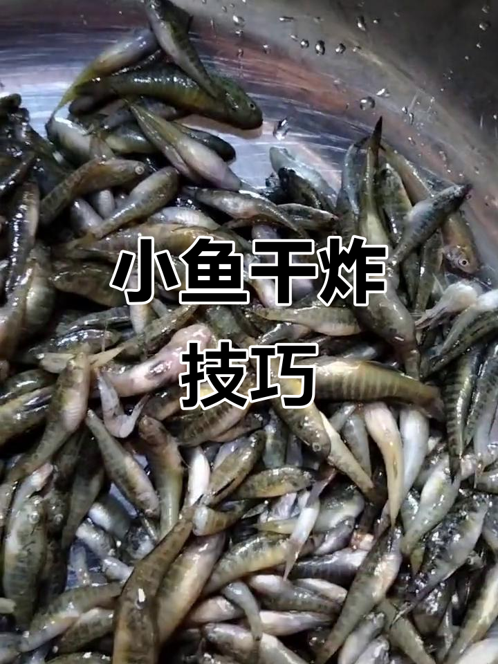 炸小鱼的独特做法,香脆可口又美味