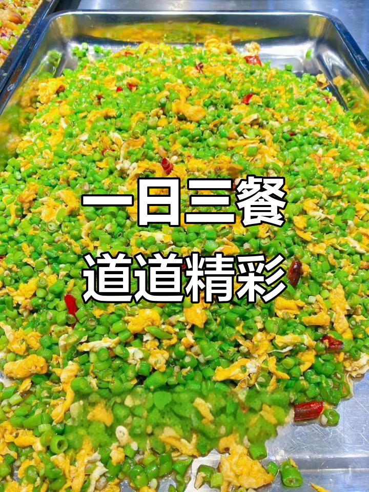 每天不重样,蒸太阳肉饼、麻婆豆腐等美味等你来尝