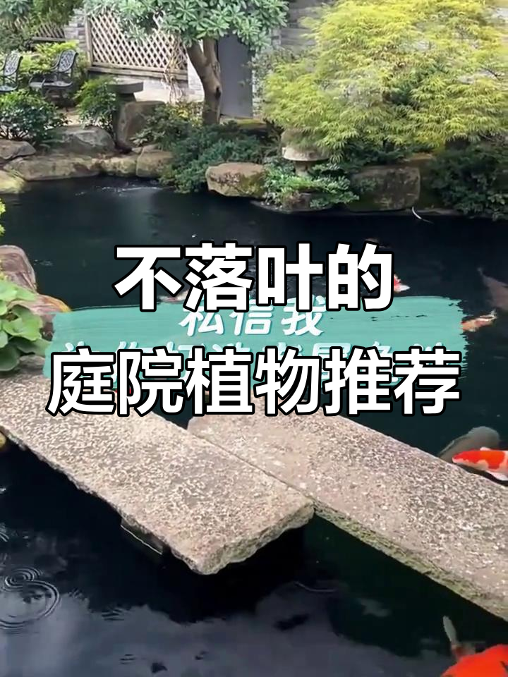 鱼池边种这些不落叶植物,四季常绿又美观