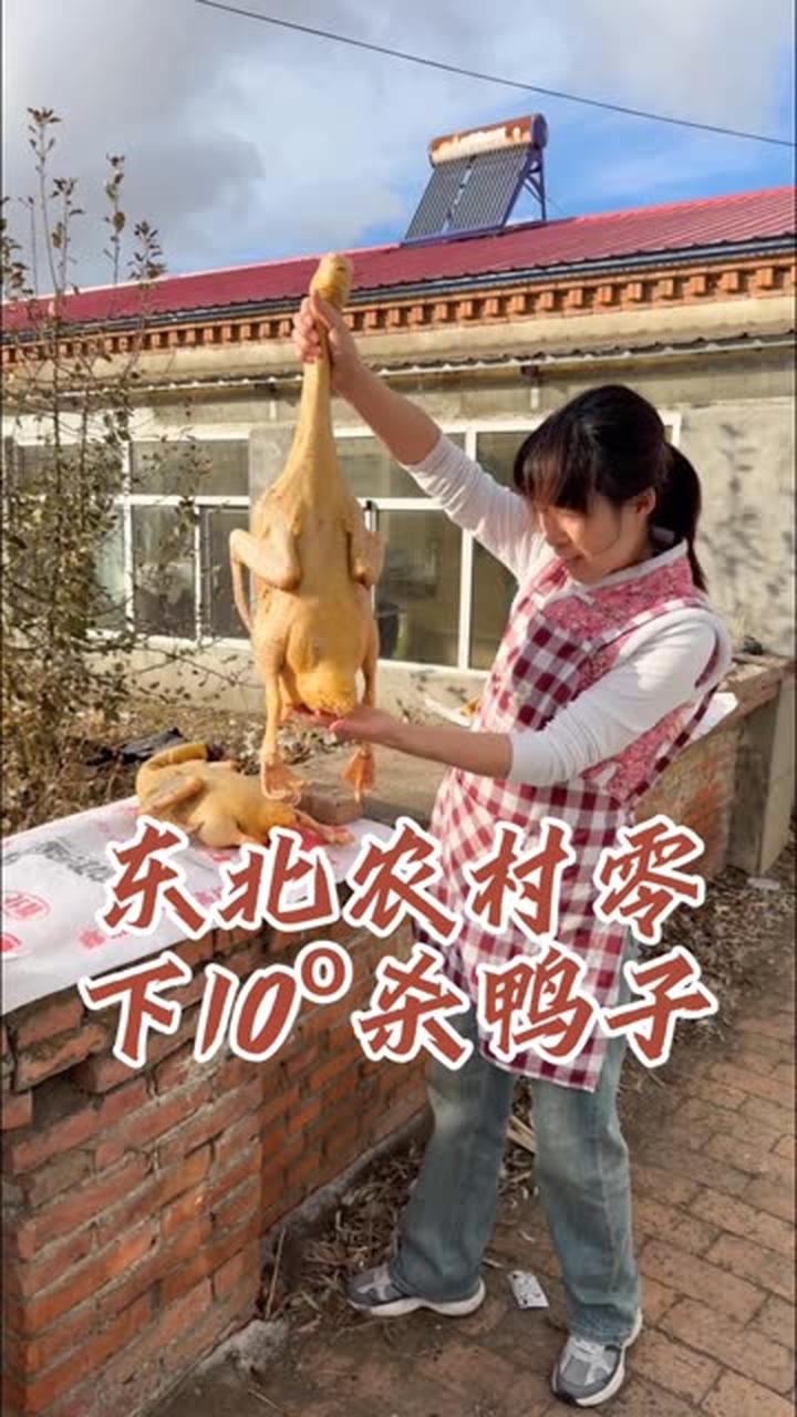 今天我家杀鸭子，你们看看鸭子够不够胖