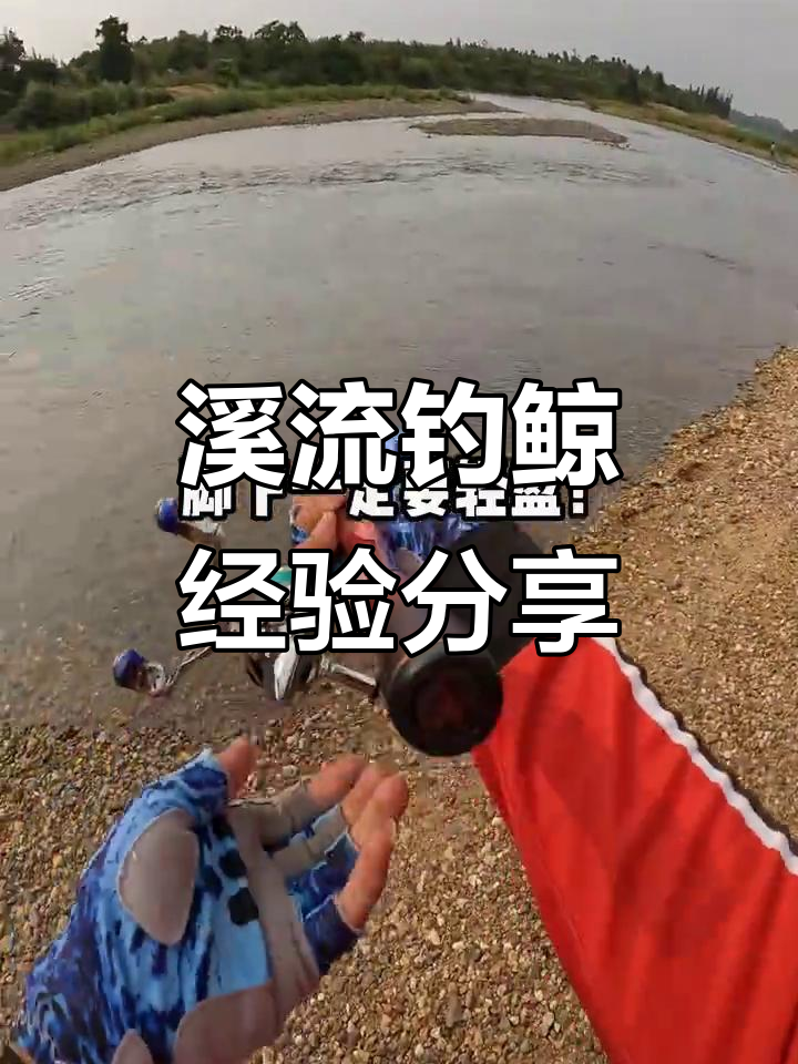 溪流钓鲸鱼技巧:如何选择标点与用饵