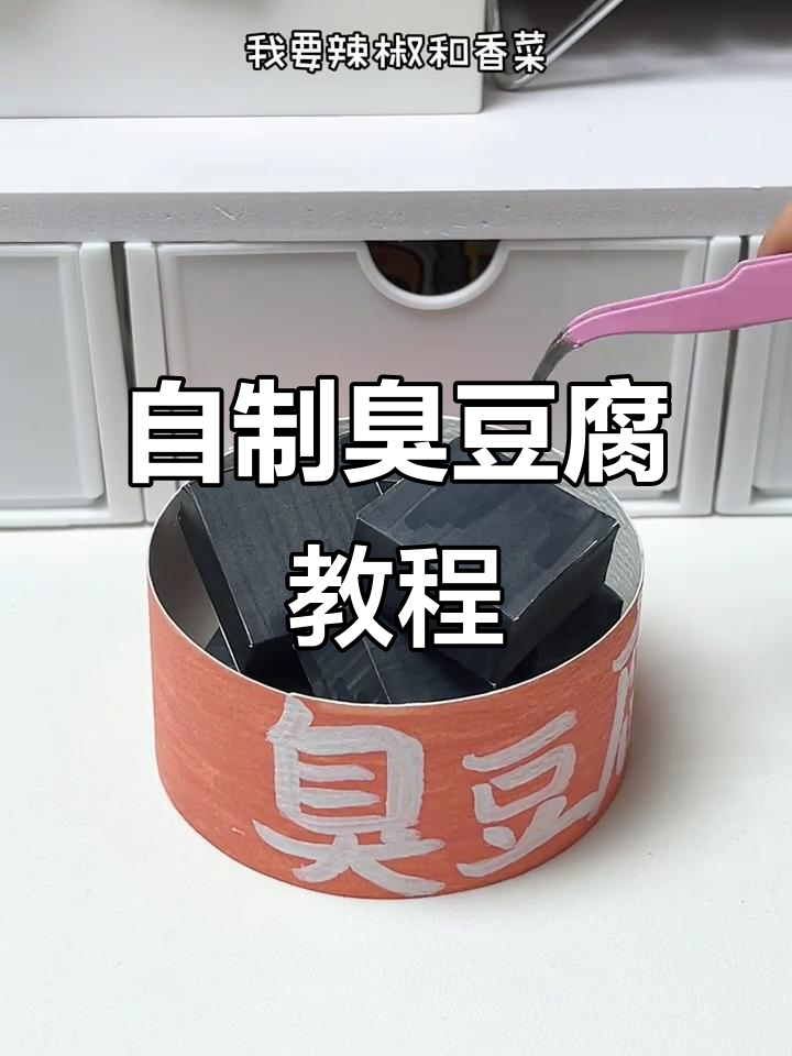 轻松自制臭豆腐，简单又有趣！