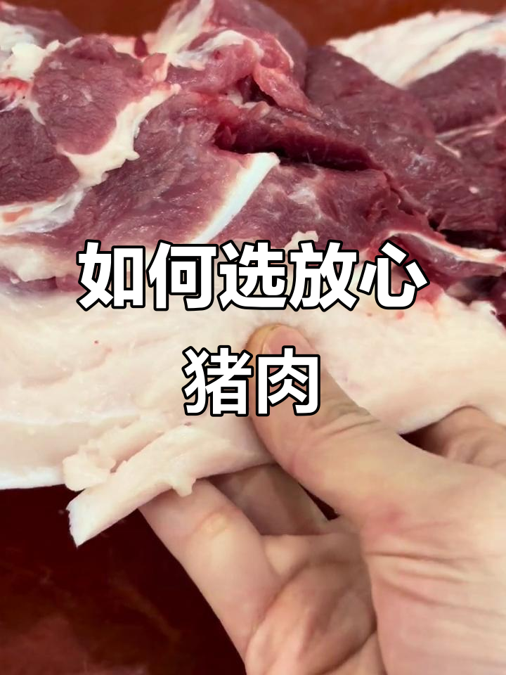买猪肉不愁！小姐姐教你挑选放心肉
