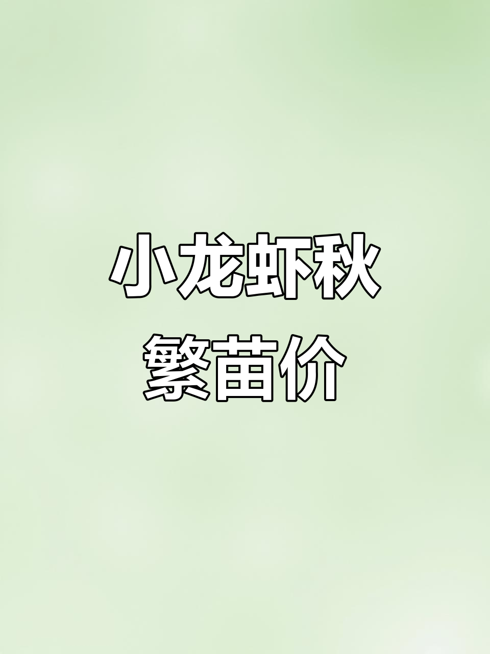 9月秋季小龙虾苗价格大揭秘,早投更划算