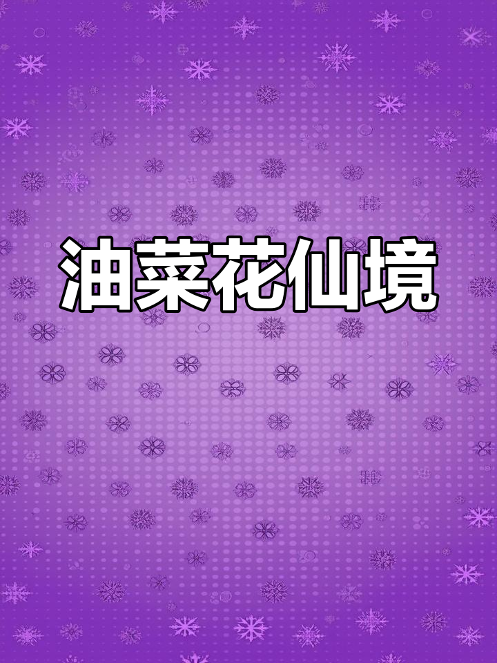 兴化油菜花海,如梦似幻,令人陶醉