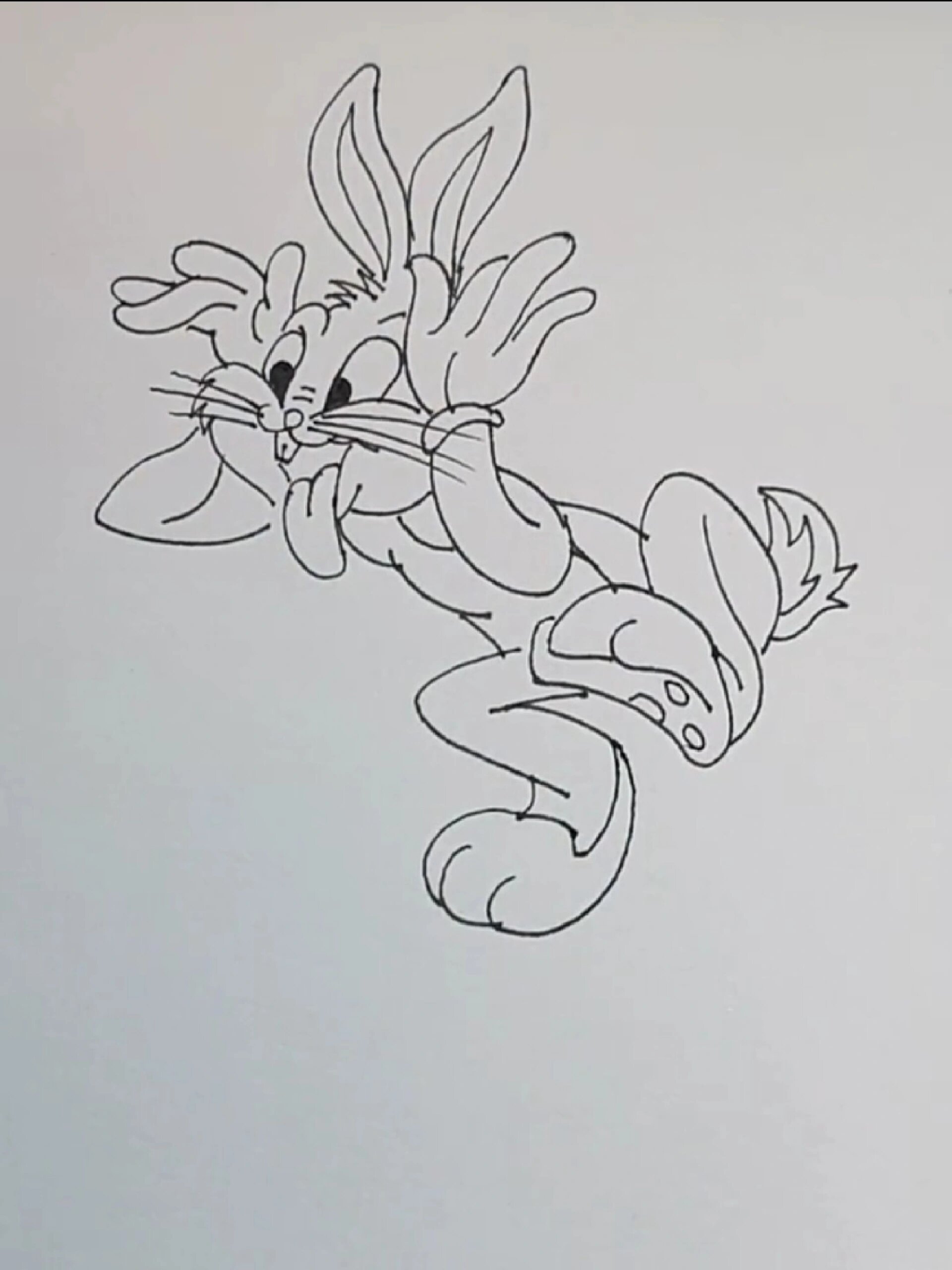 简笔画小兔子简单画法教程一起学画画