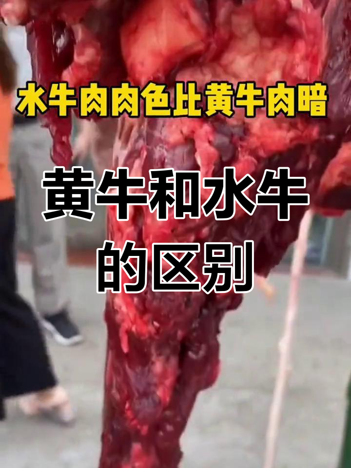 黄牛肉与水牛肉的显著区别