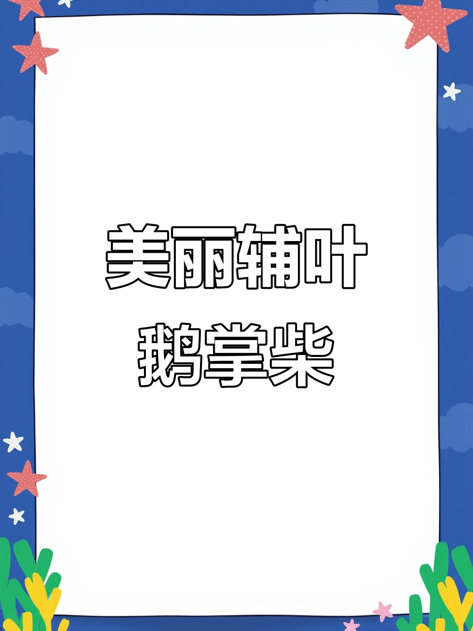 辅叶鹅掌柴的独特魅力,让人爱不释手
