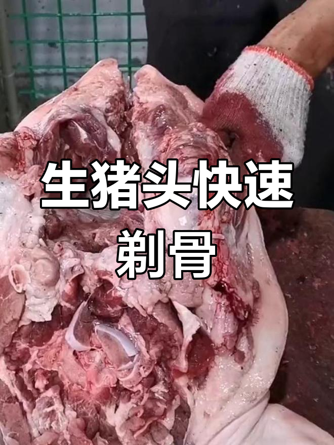 掌握生猪头剔骨技巧,轻松去骨只需三分钟