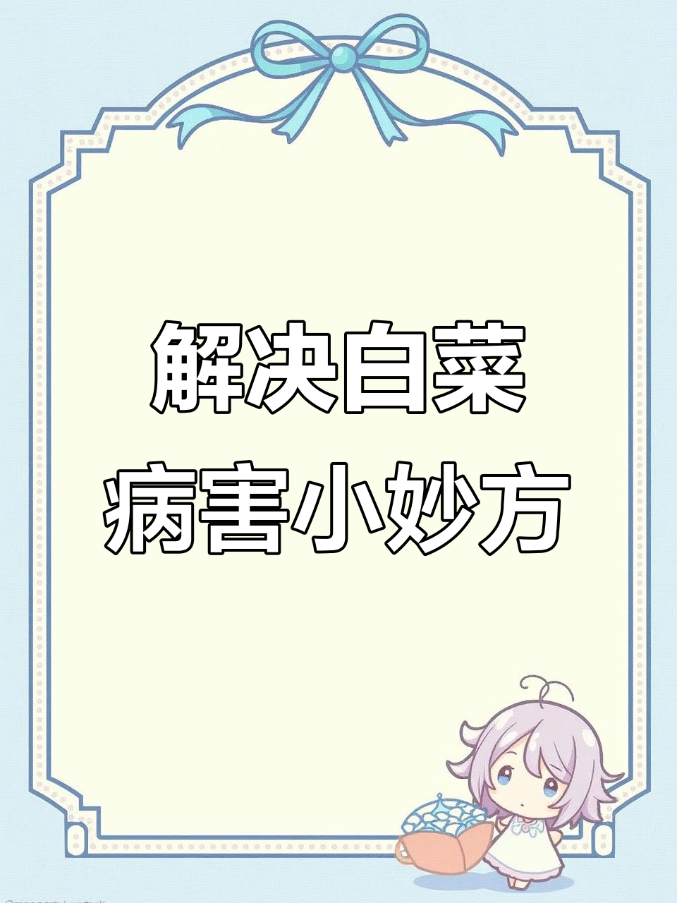 白菜烂根烂心?教你一招轻松解决