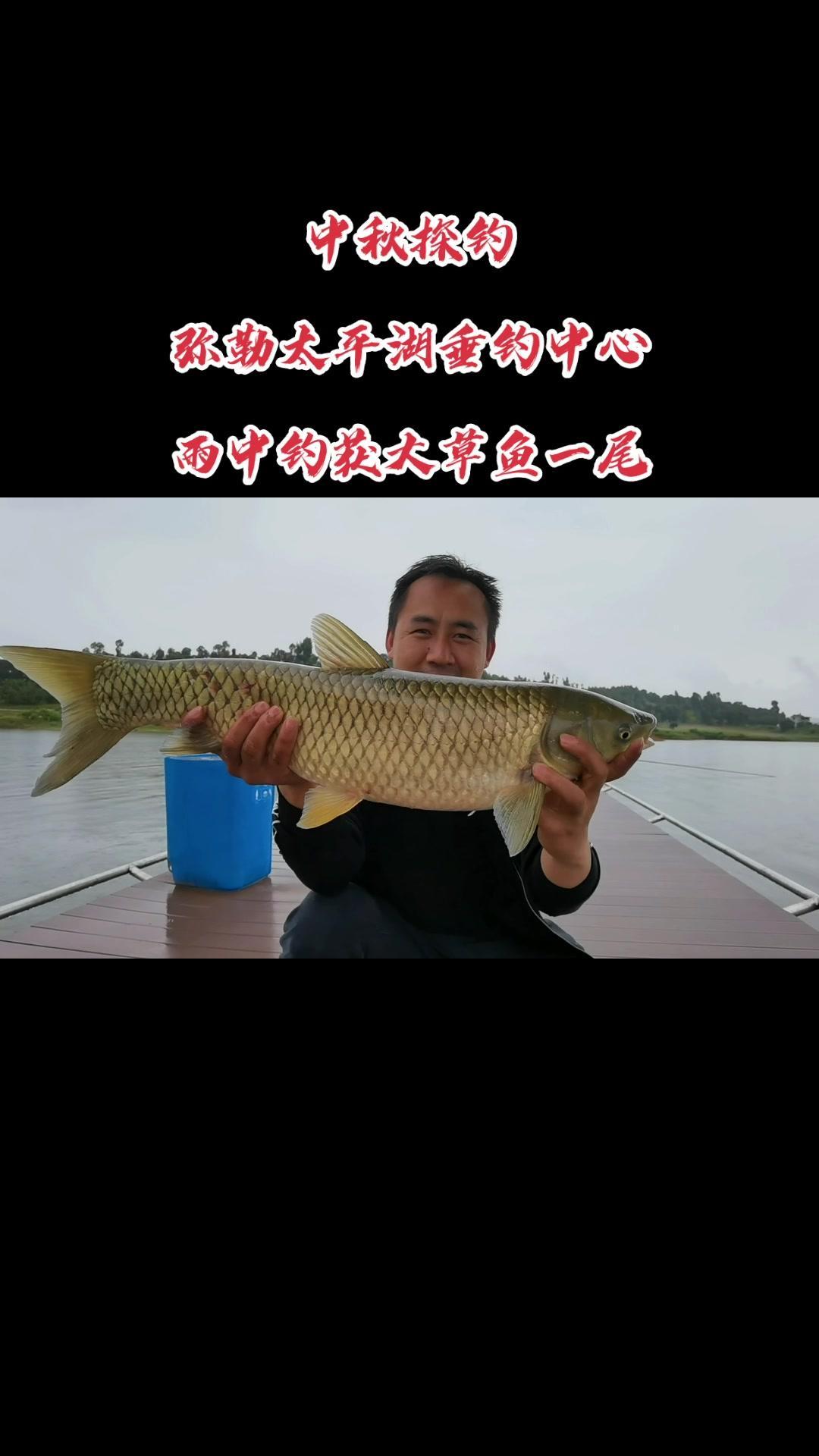 钓鱼 昆明周边 2022dou来钓鱼 野钓野钓 钓鱼人就是这么疯狂 探钓太平湖垂钓中心,雨