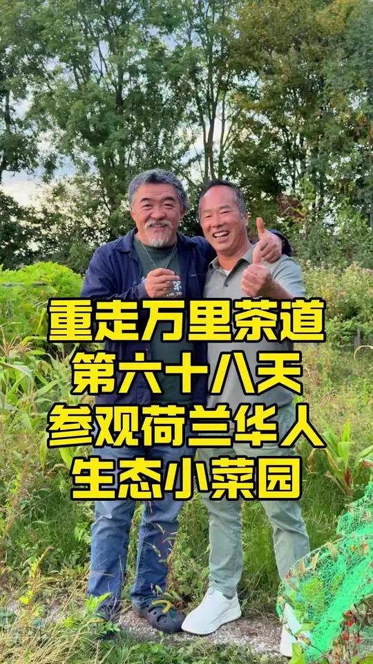参观荷兰华人福哥的生态小菜园～