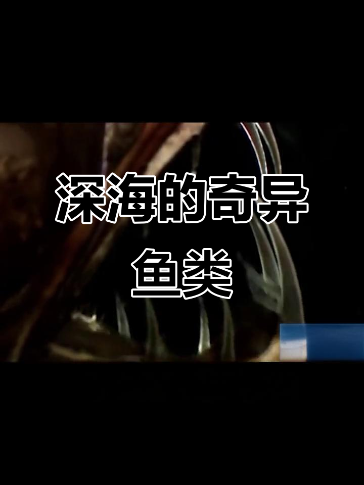 深海怪鱼大揭秘:水滴鱼、羊头鱼和臀刺豚等奇特的海洋生物