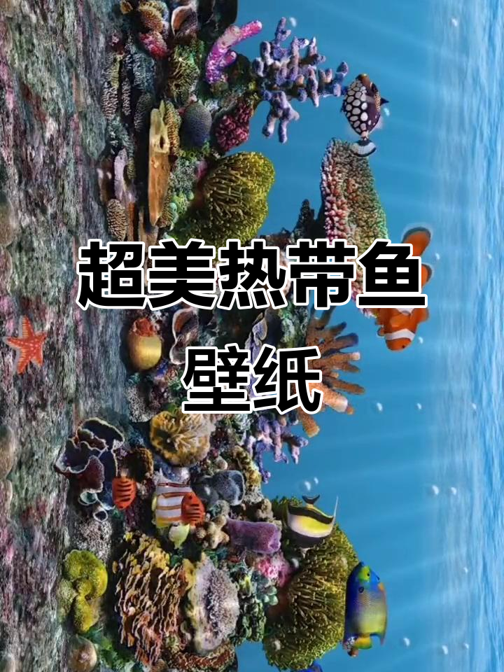 热带鱼水族馆动态壁纸,超精美海底世界体验