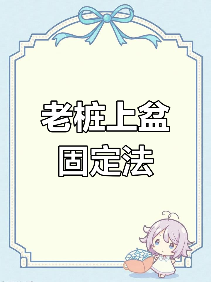多肉老桩上盆技巧,轻松固定造型防止生锈