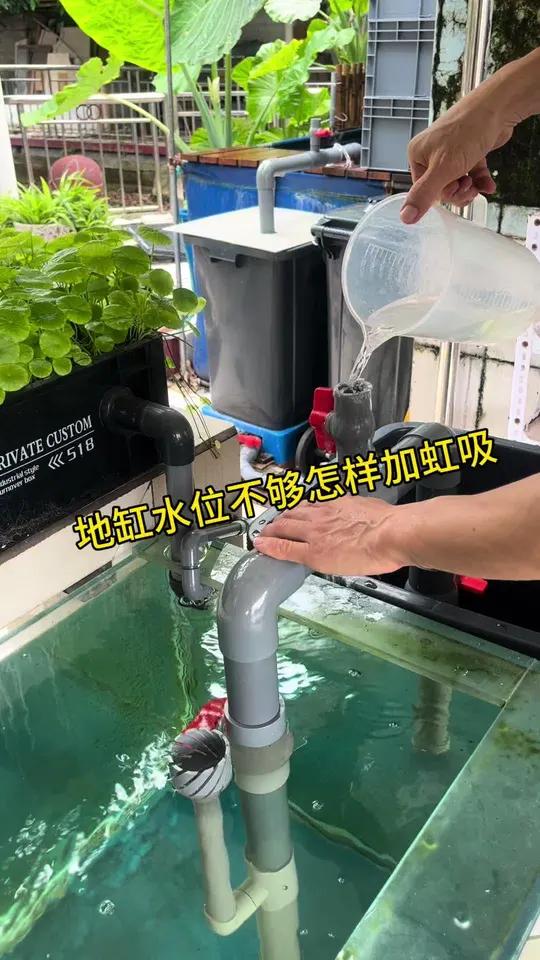 鱼缸水位不够,又想沉淀仓水位够深,沉淀效果好