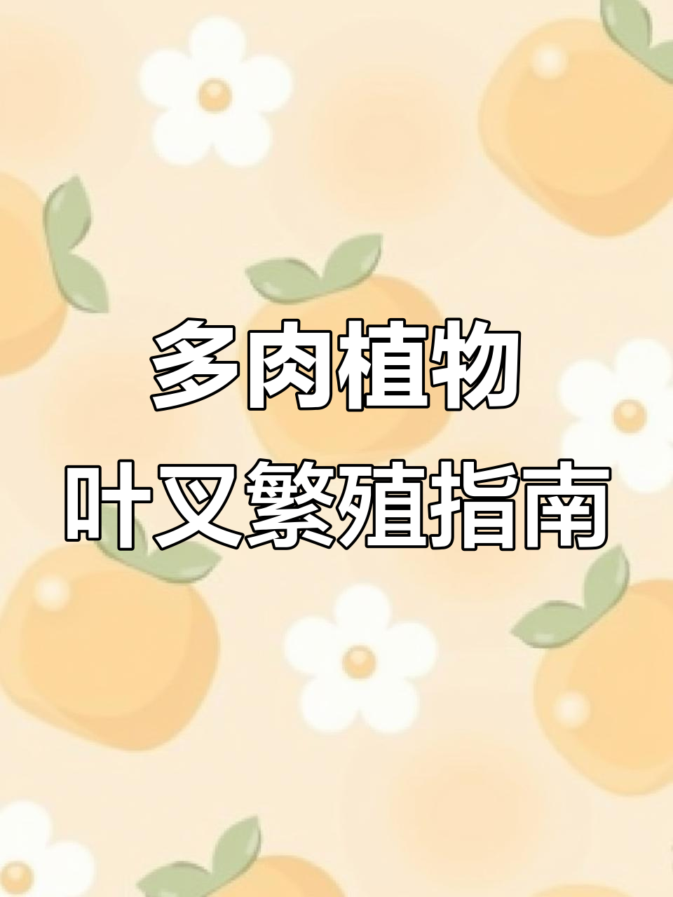 叶插技巧大揭秘:如何正确繁殖多肉植物